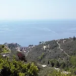 Azalea Recco