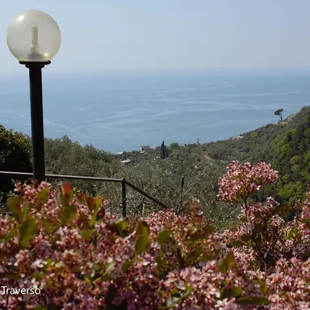 Semesterbostad Azalea
