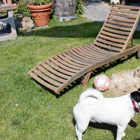 Сasa de vacaciones Azalea