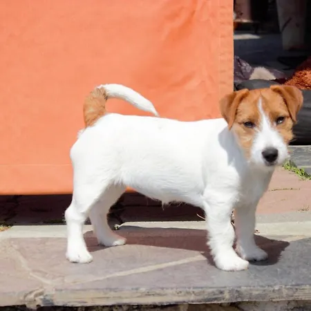 Сasa de vacaciones Azalea