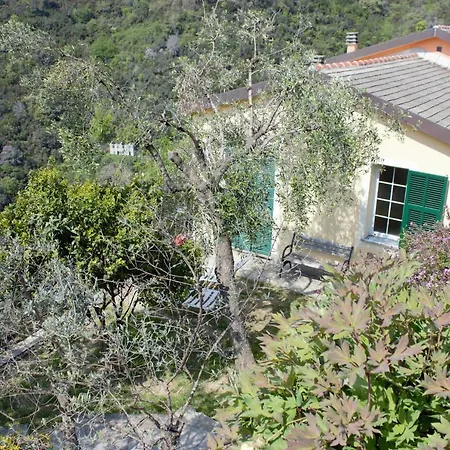 Azalea Feriehus *