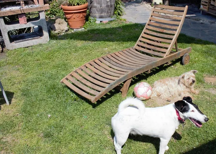 Prázdninový dům Azalea