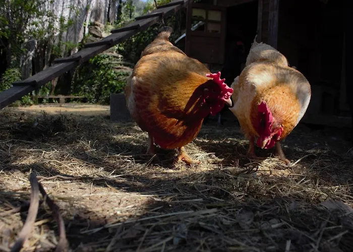 Prázdninový dům Azalea Recco