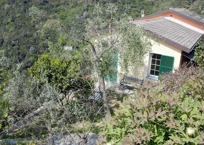 Azalea Semesterbostad *