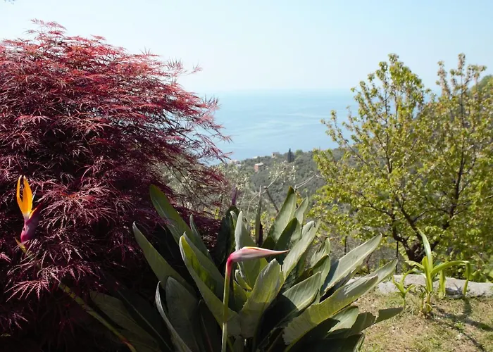 Prázdninový dům Azalea