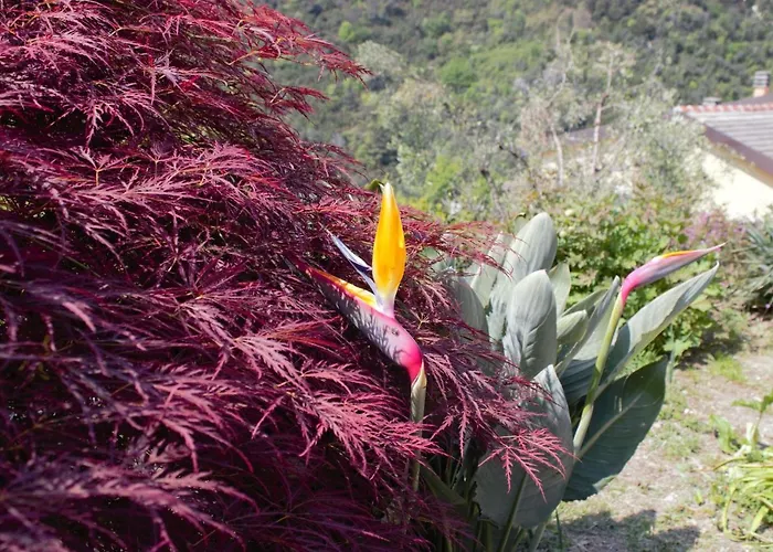 Azalea Prázdninový dům Recco